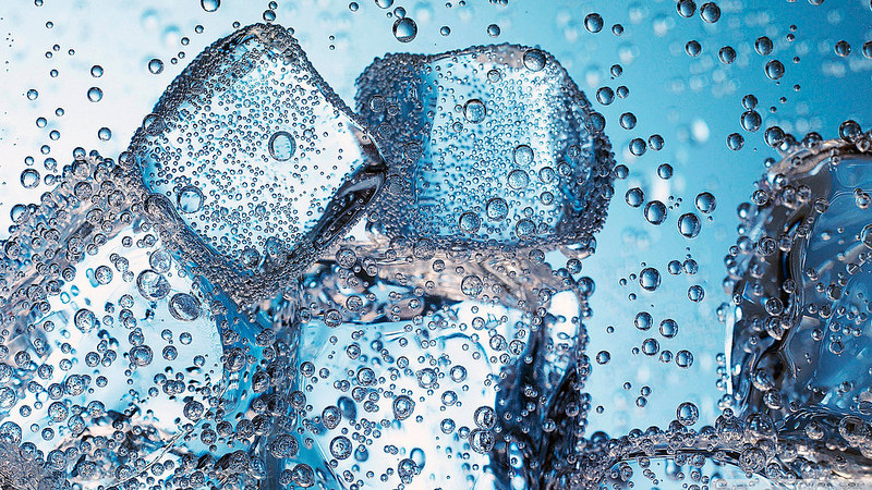 dia mundial da água