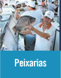 Peixarias